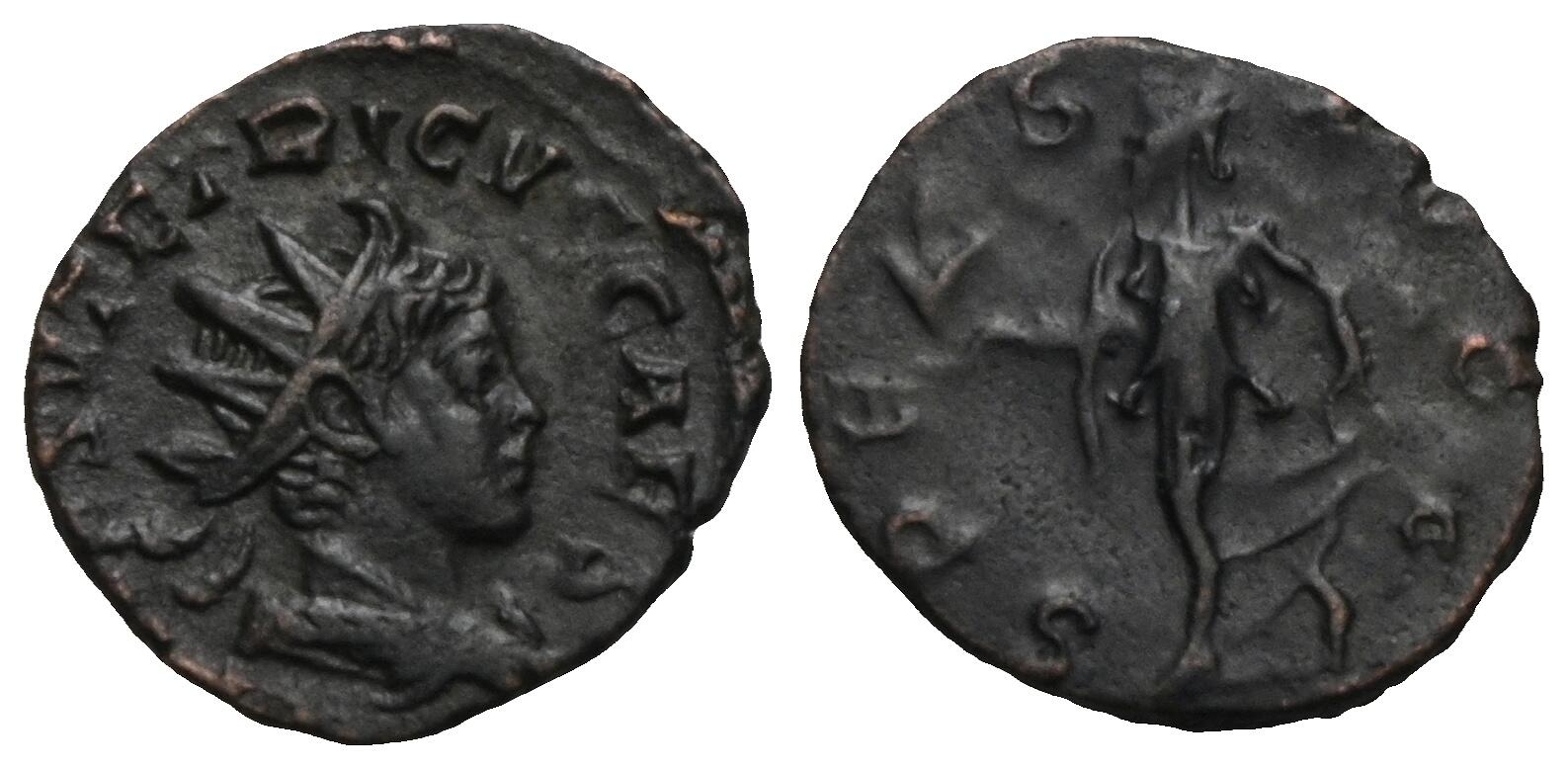TKC203 テトリクス2世のアントニニアヌス Tetricus II coins - ANCIENT ROMAN COIN - OFFICIAL WEBSITE