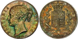 thumb01135.jpg