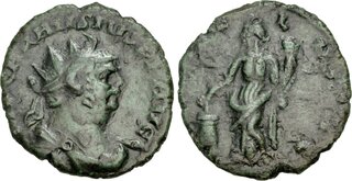 thumb00613.jpg