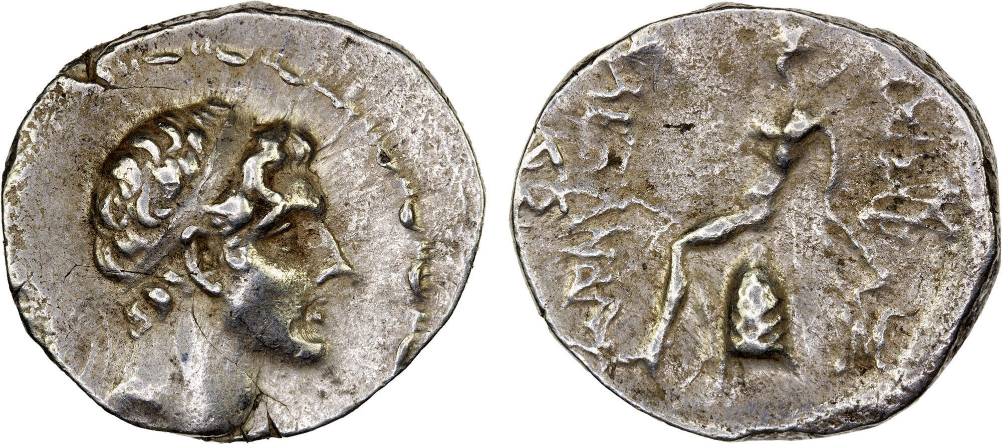 CoinArchives.com Search Results : Seleucid Kingdom