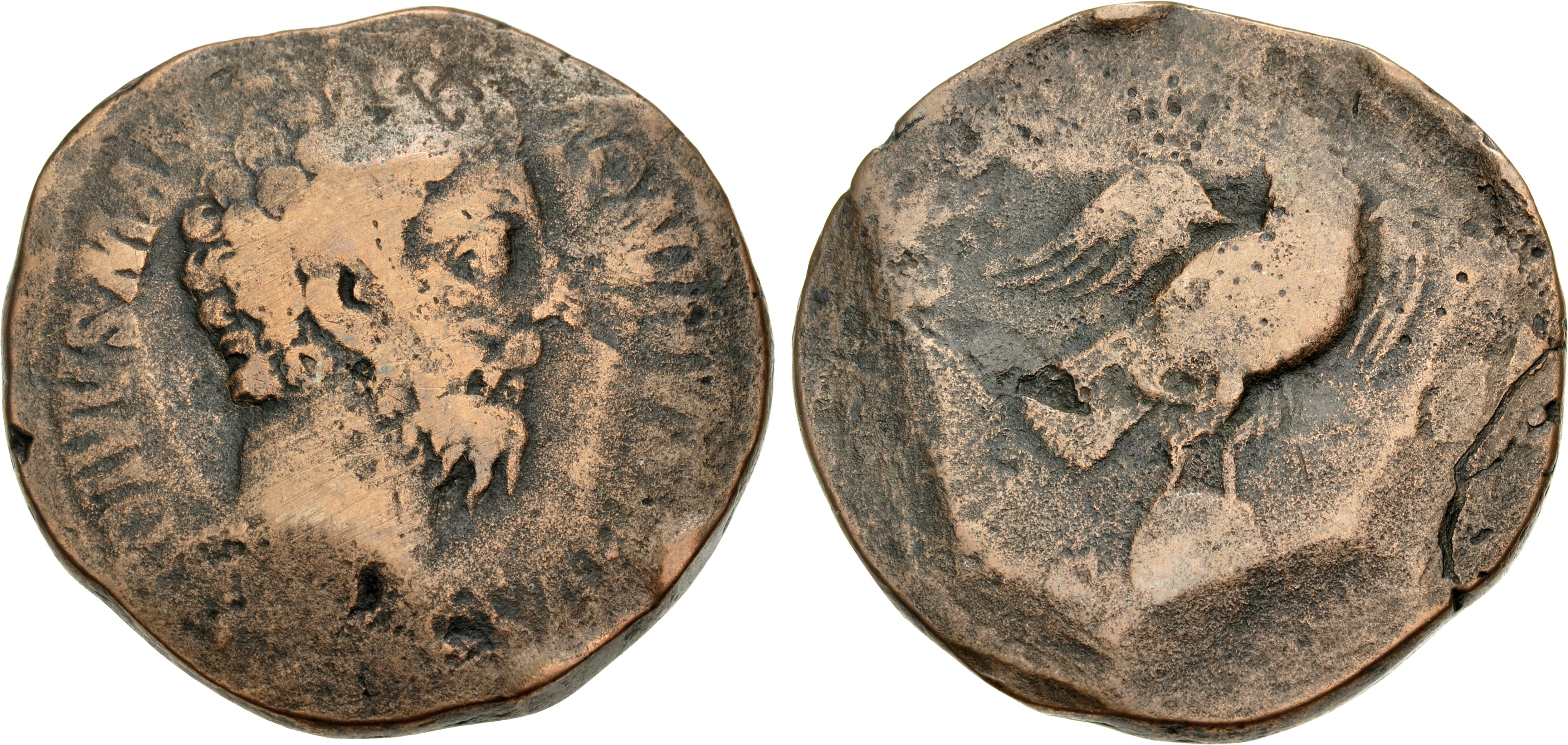 CoinArchives.com Search Results : Aurelius AND Sestertius AND Eagle
