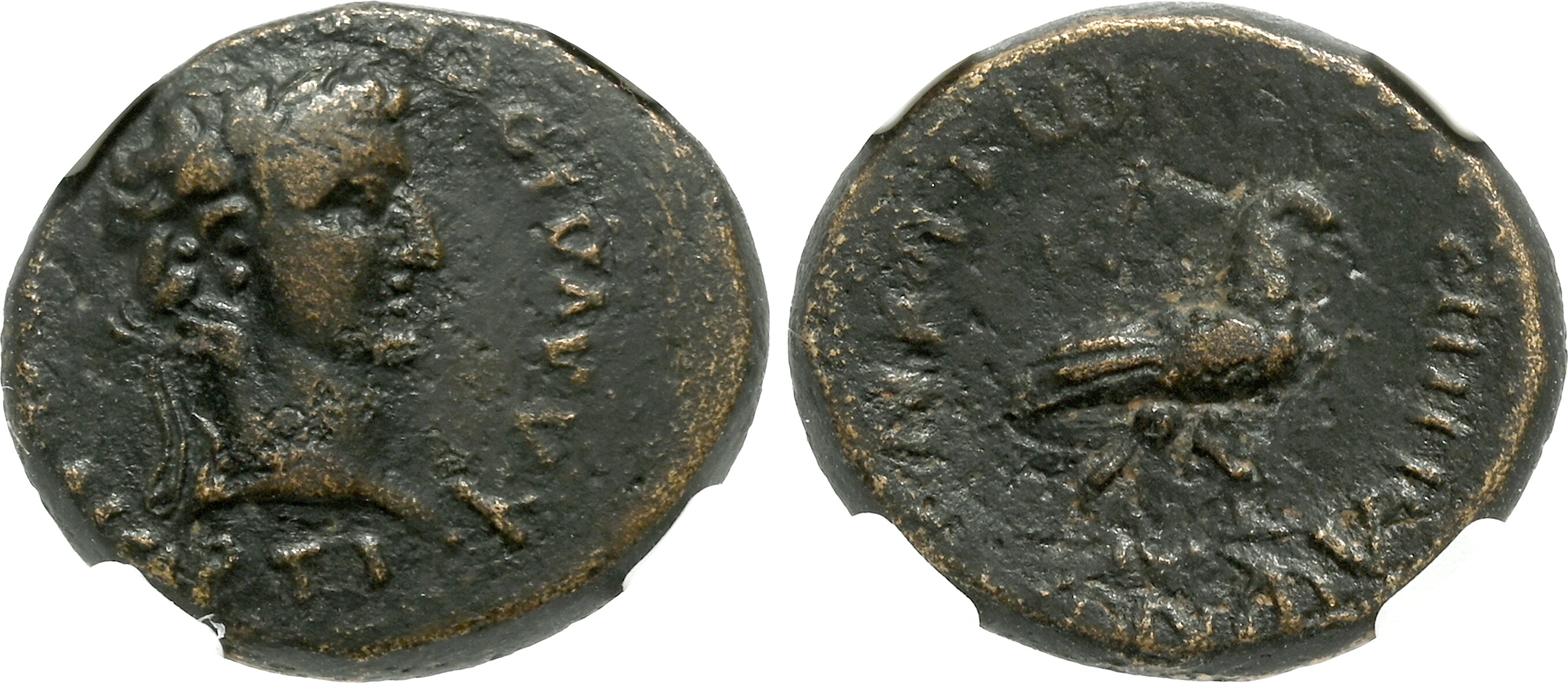 TKC020 マルクス・ポルキウス・カトーのクィナリウス TKC020 マルクス