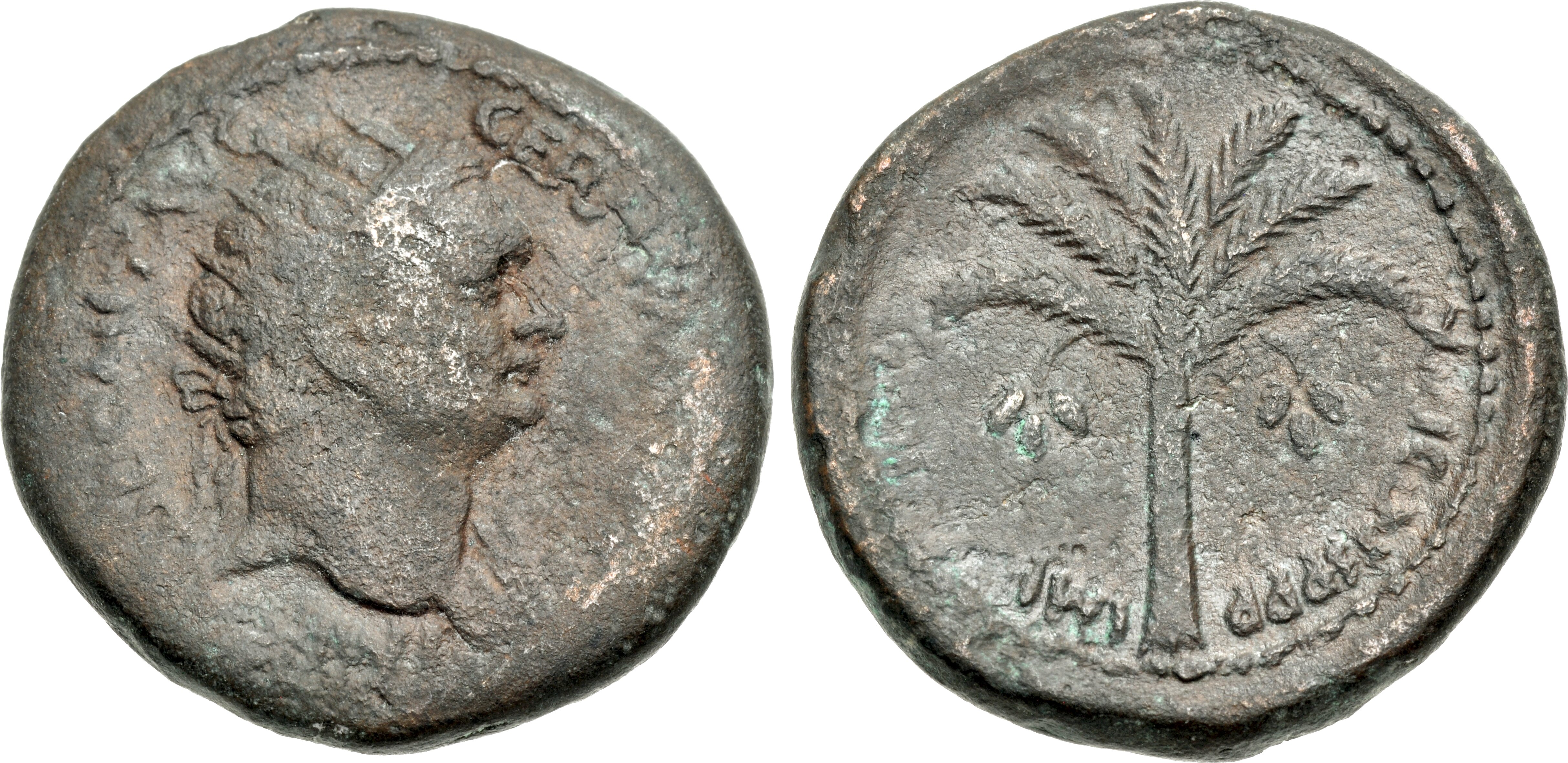 CoinArchives Lot Viewer coinarchives-lot-viewer