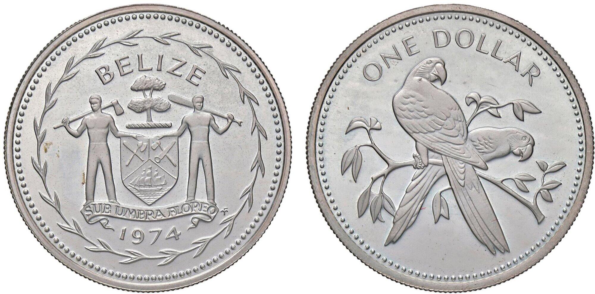 [純銀]：[Belizeコイン・銀104ｇ]／sterling-silver 純銀]：[Belizeコイン・銀104g]sterling-silver