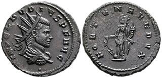 thumb01447.jpg