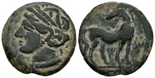 thumb00114.jpg