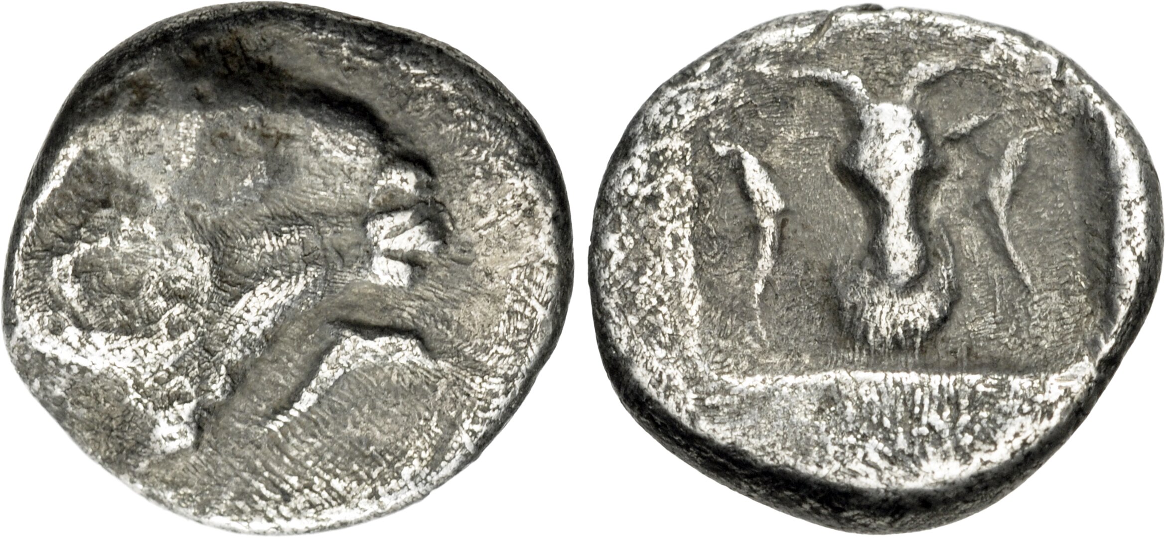 CoinArchives.com Search Results : album