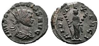 thumb00459.jpg
