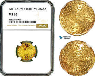 CoinArchives.com Search Results : Ottoman Mahmud