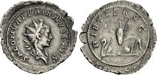 CoinArchives.com Search Results : saloninus