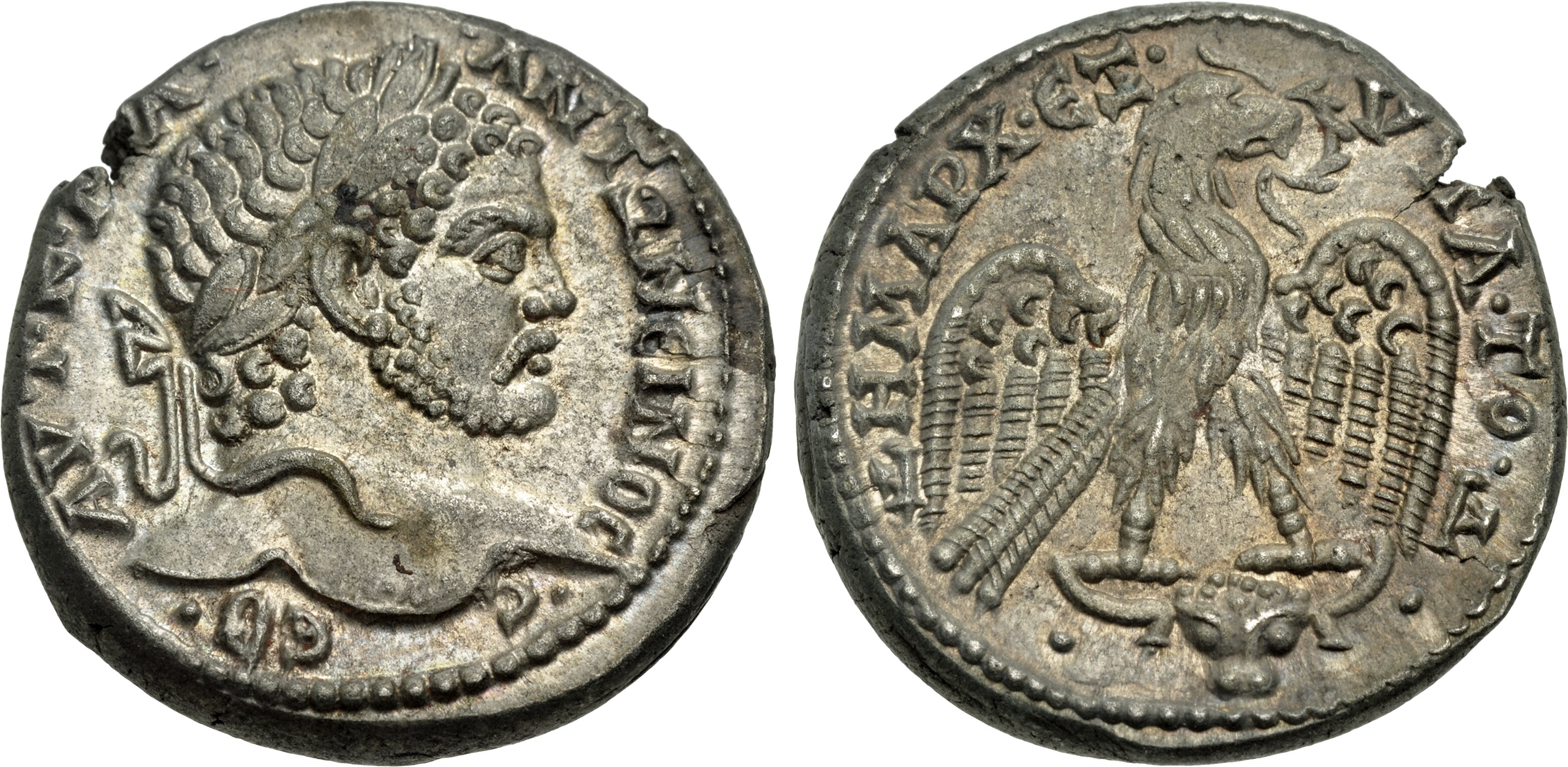CoinArchives.com Search Results : martialis